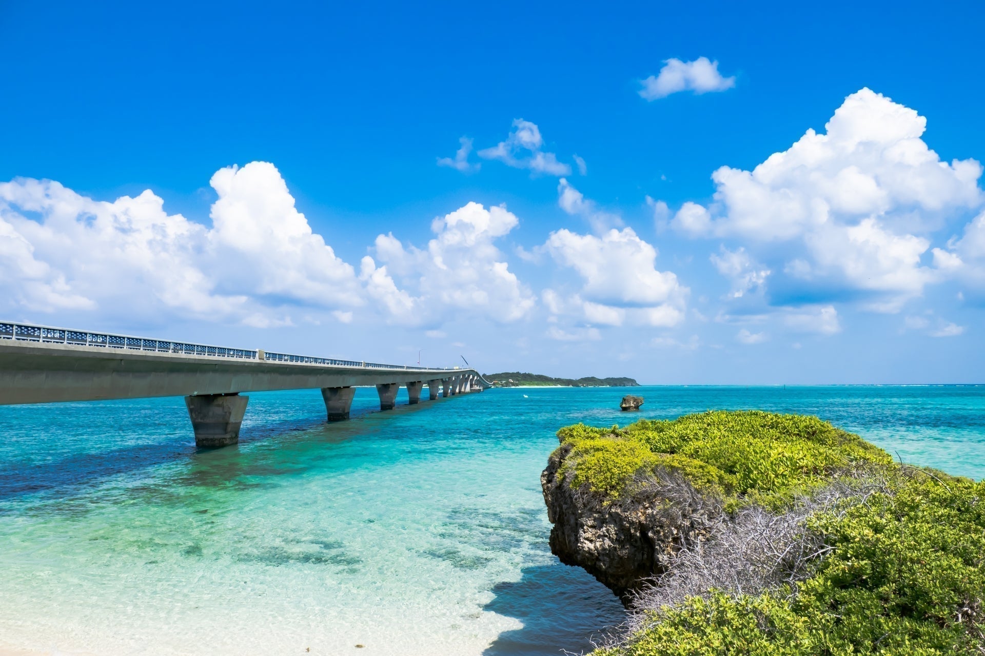 SDGsの目標、『海の豊かさを守ろう』と『陸の豊かさも守ろう』について詳しく解説!