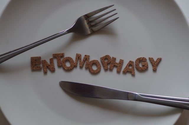 最近よく聞く「昆虫食」!どうして話題なの?取り入れるメリットは?