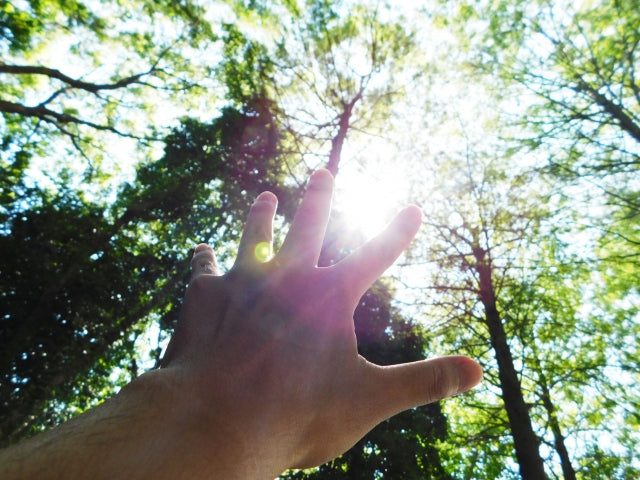 地球環境に優しい資源バイオマスってなに？種類や活用方法、バイオマスプラスチックについても紹介します！