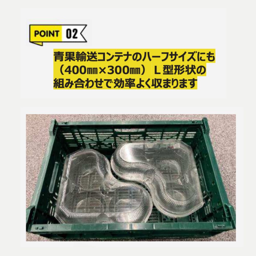 ペコペットフルーツＬ型4L-3