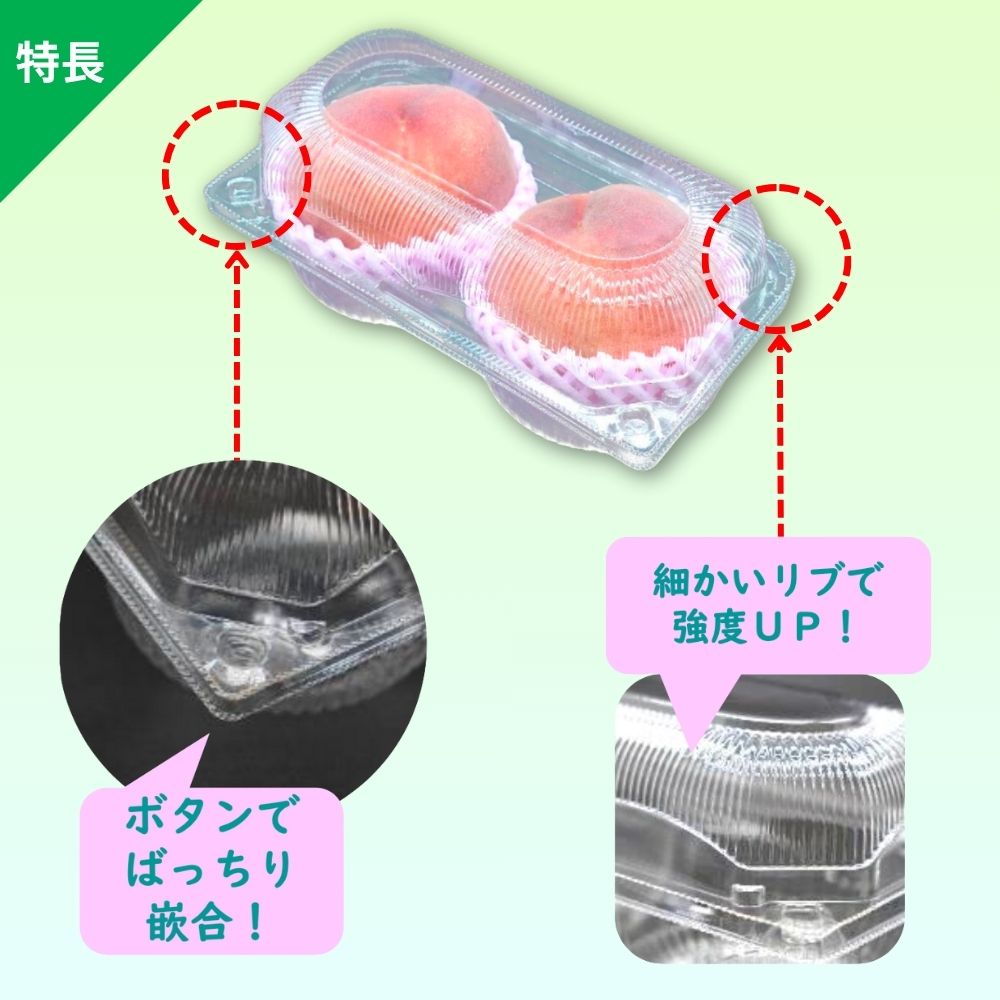 ペコペットフルーツL-2