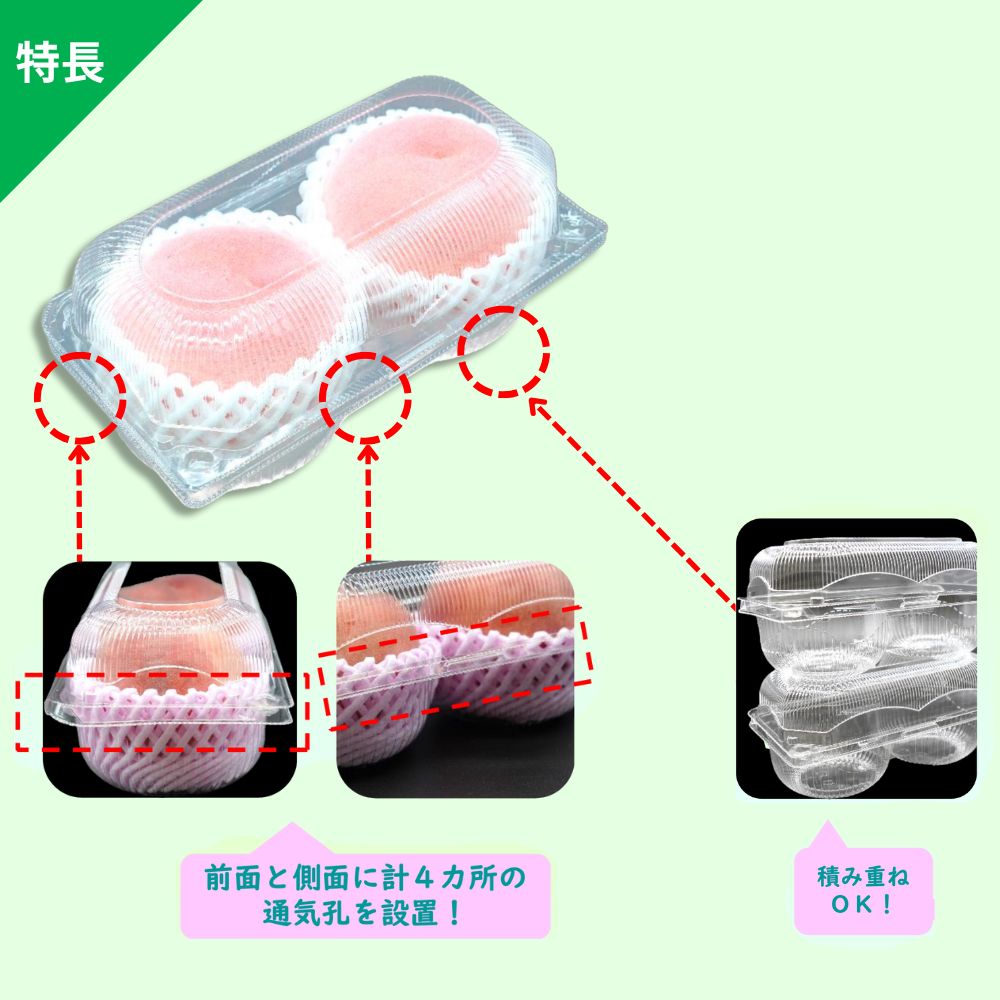 ペコペットフルーツ3L-2