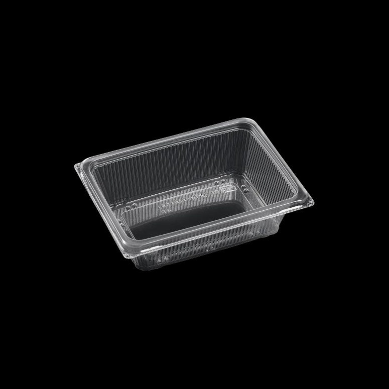 テイクアウト容器 DLV角19-14R(55)APエコ 193×144×55mm 50枚
