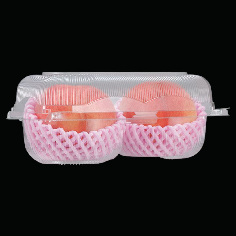 ペコペットフルーツL-2