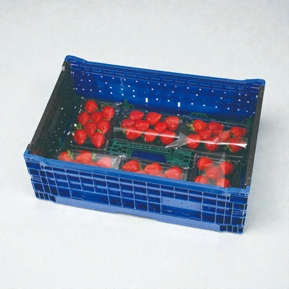 エフピコチューパ フルーツ容器 PSTR250平 黒