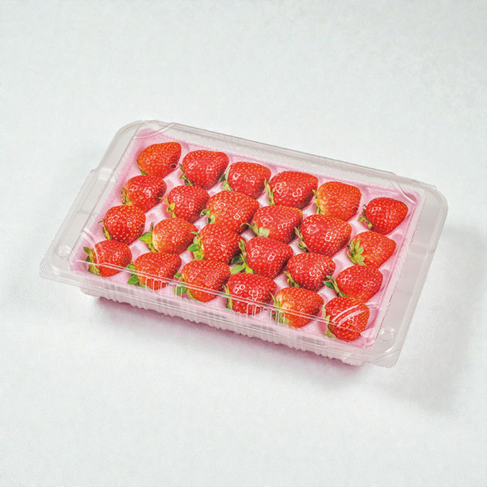 エフピコチューパ フルーツ容器 STR-GHP.8H