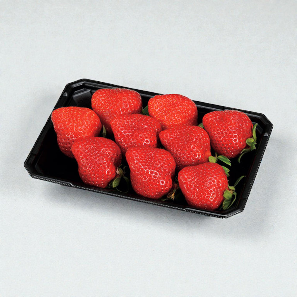 エフピコチューパ フルーツ容器 PSTR1812A平 黒