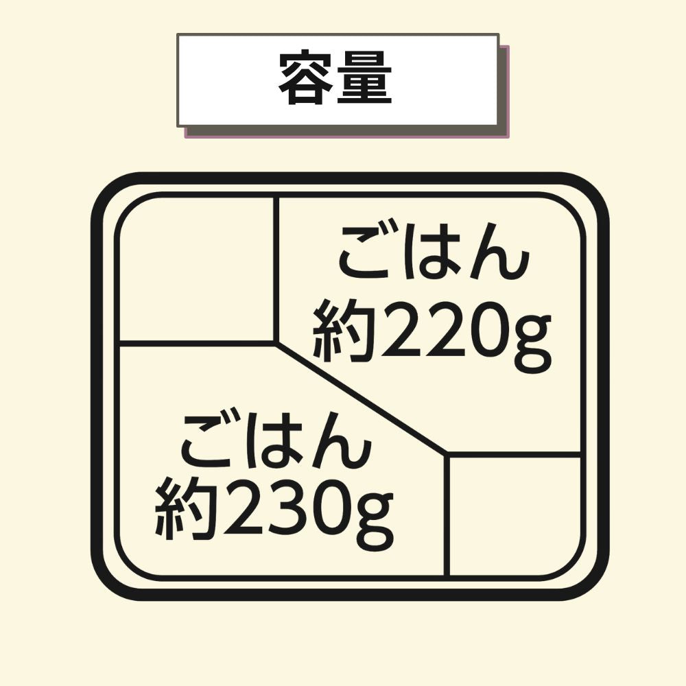 CY-2-1 黒本体（L）240×202×33mm