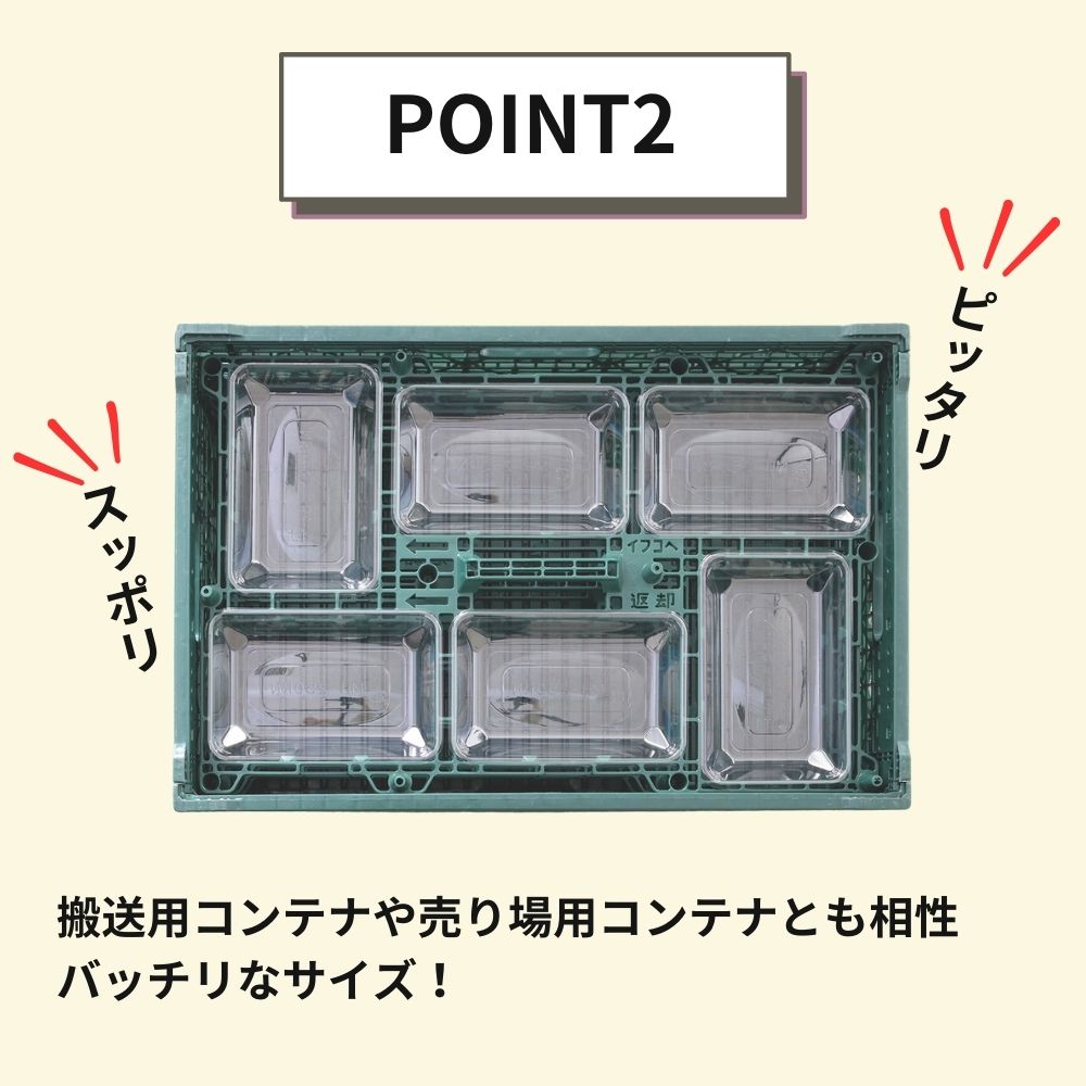 イチゴMH-250RN (199×130×28mm)