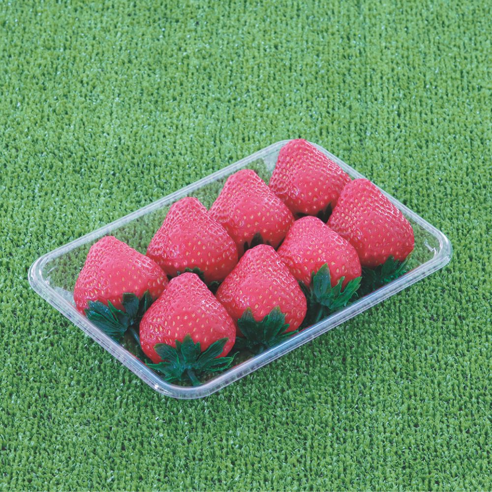 イチゴMH-250RN (199×130×28mm)