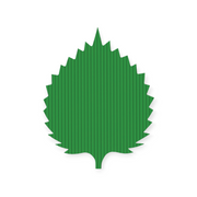 大葉バラン　大（500枚入）