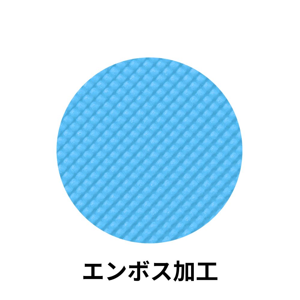 プロプラスバイオマスポリ手袋L（ブルー袋入）