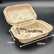 DLVボーノ 20-15 タイムス茶W