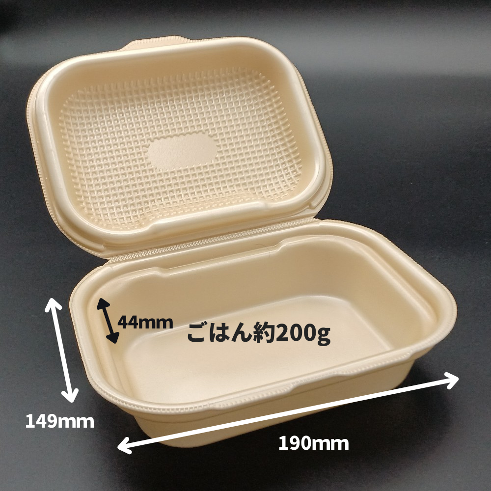 DLVボーノ 19-15 ベージュ