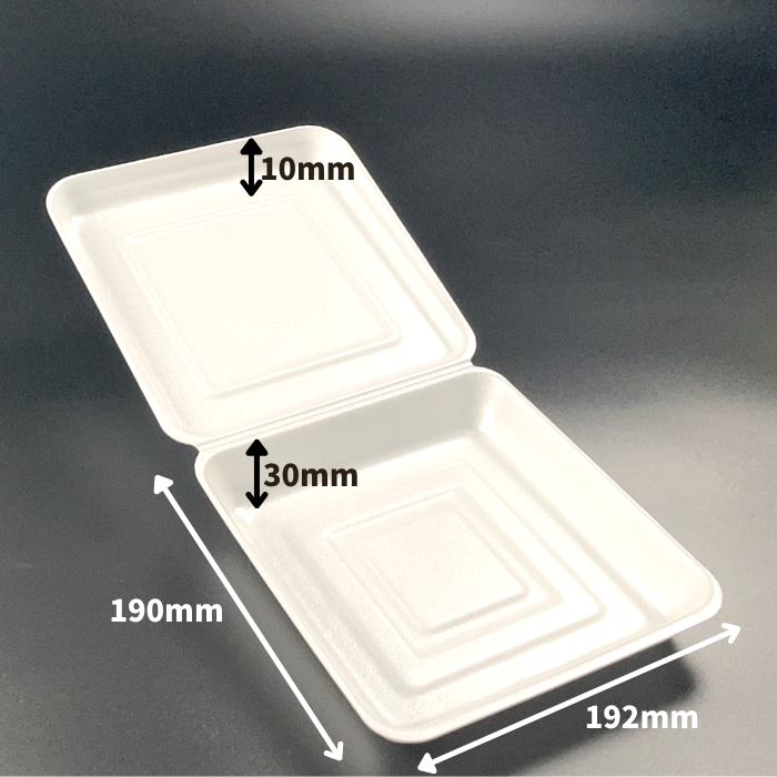 嵌合（かんごう）パック特大