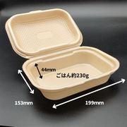 DLVボーノ 20-15 ベージュ