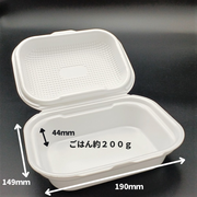 DLVボーノ19-15 白