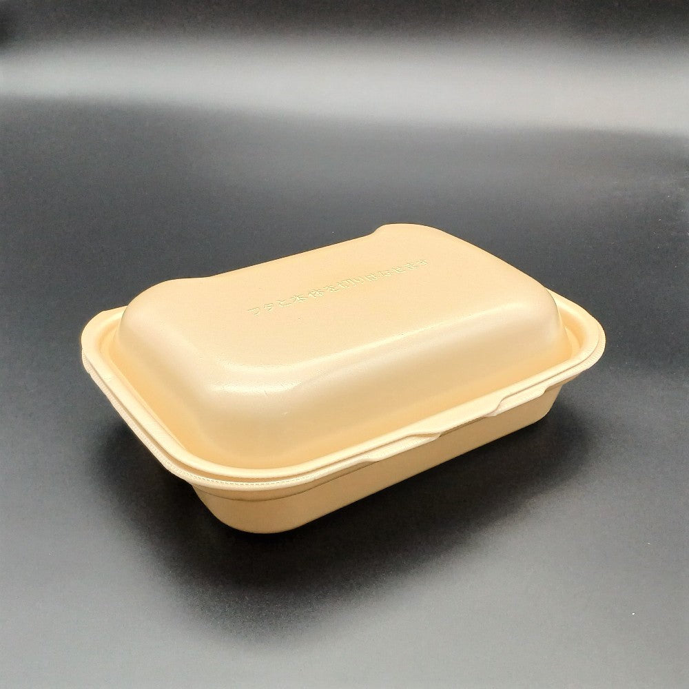 DLVボーノ23-18-1 ベージュ