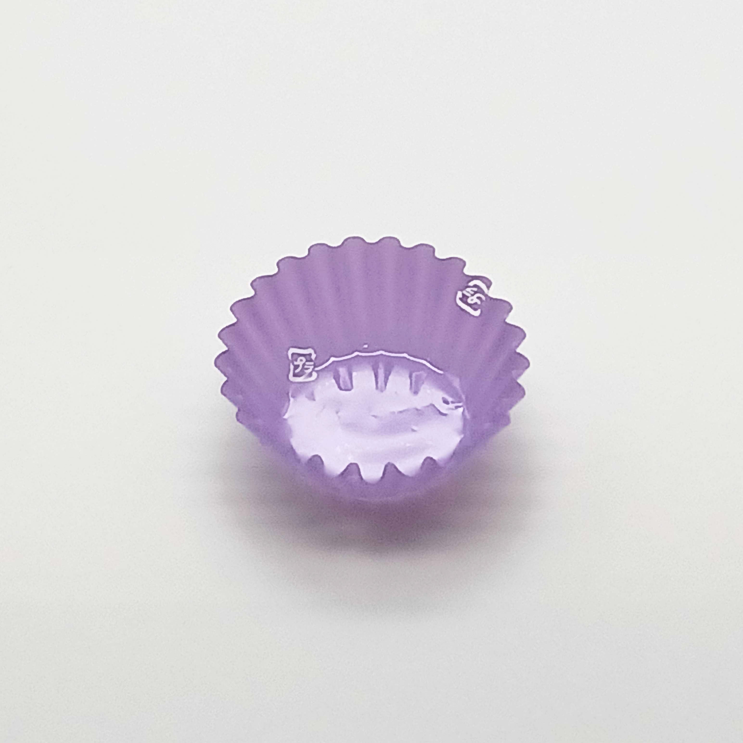 ＰＥＴフィルムケース 紫５Ｆ