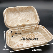 DLVボーノ23-16 タイムス茶W