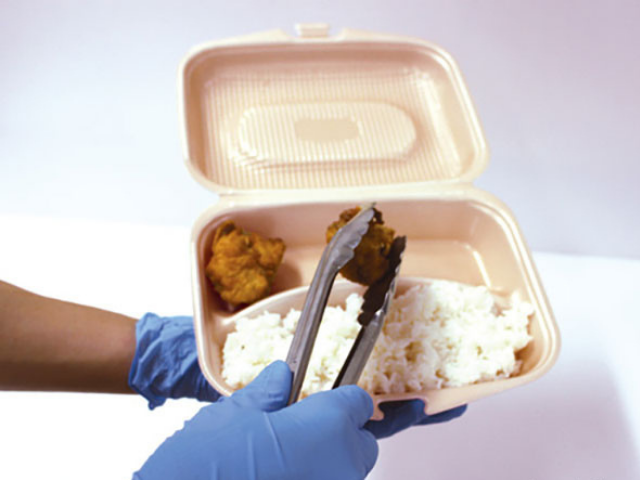 DLVランチ23-18-1（229×184mm)　ベージュ