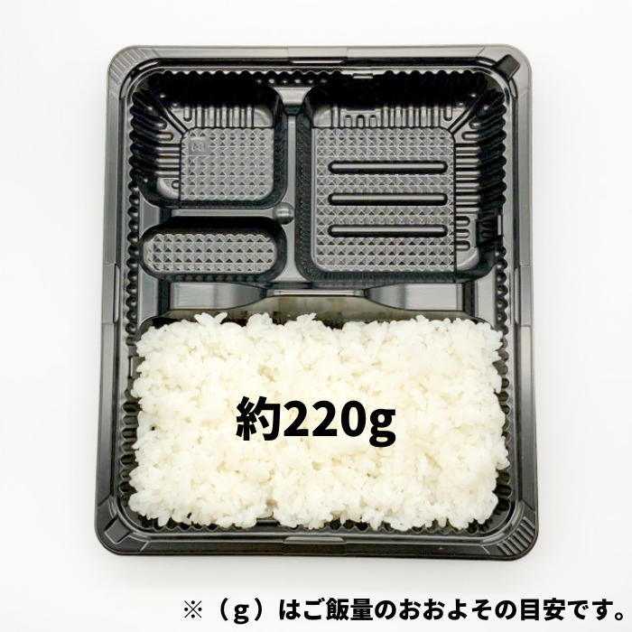 CZ-222-2 BS黒（N）