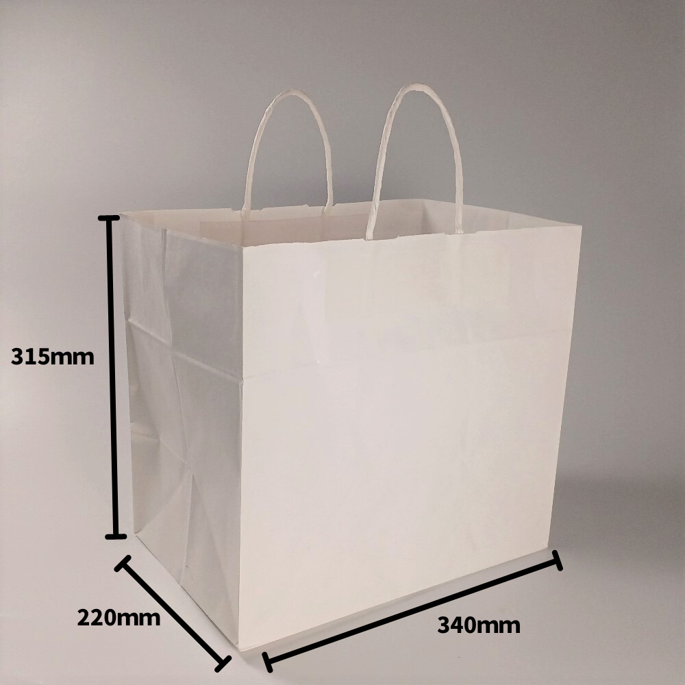 紙手提袋 HV75 晒 無地