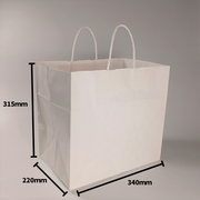 紙手提袋 HV75 晒 無地