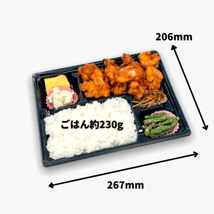 MSD古典-5黒 本体