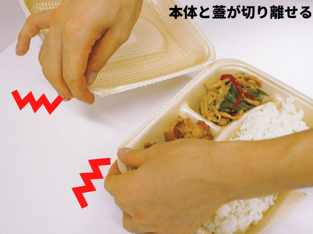 DLVランチ23-18-1（229×184mm)　ベージュ